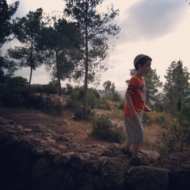 Dovid Hiking